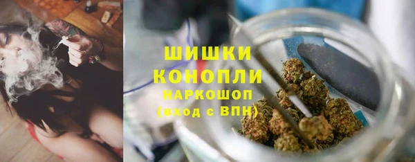 PSILOCYBIN Мегион