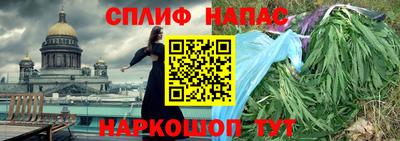 шишки Пугачёв