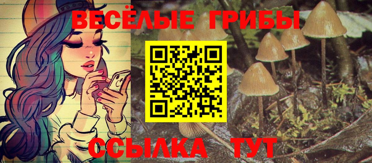 Галлюциногенные грибы Magic Shrooms Тобольск