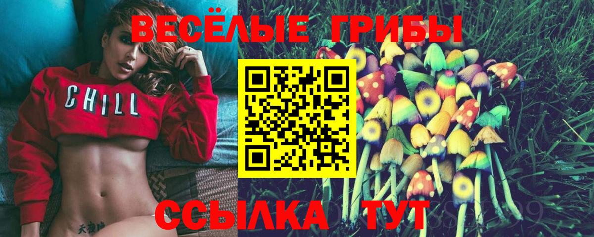 Тобольск  Галлюциногенные грибы мицелий  Вход с VPN  Галлюциногенные грибы ЛСД 